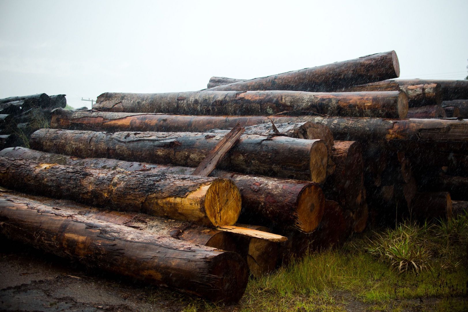 Brazil, Deforestation in the Amazon region could increase with new measures