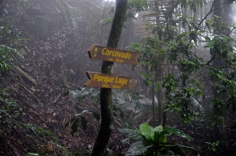 Brazil,Trail that goes from Parque Lage to Corcovado mountain is very popular among tourists.