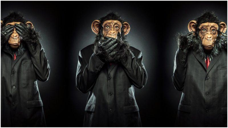 Monkeys