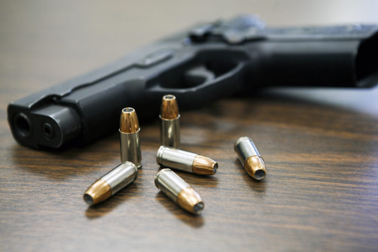 Rio de Janeiro Legislative Assembly Approves Bill Allowing Deputies to Carry Guns