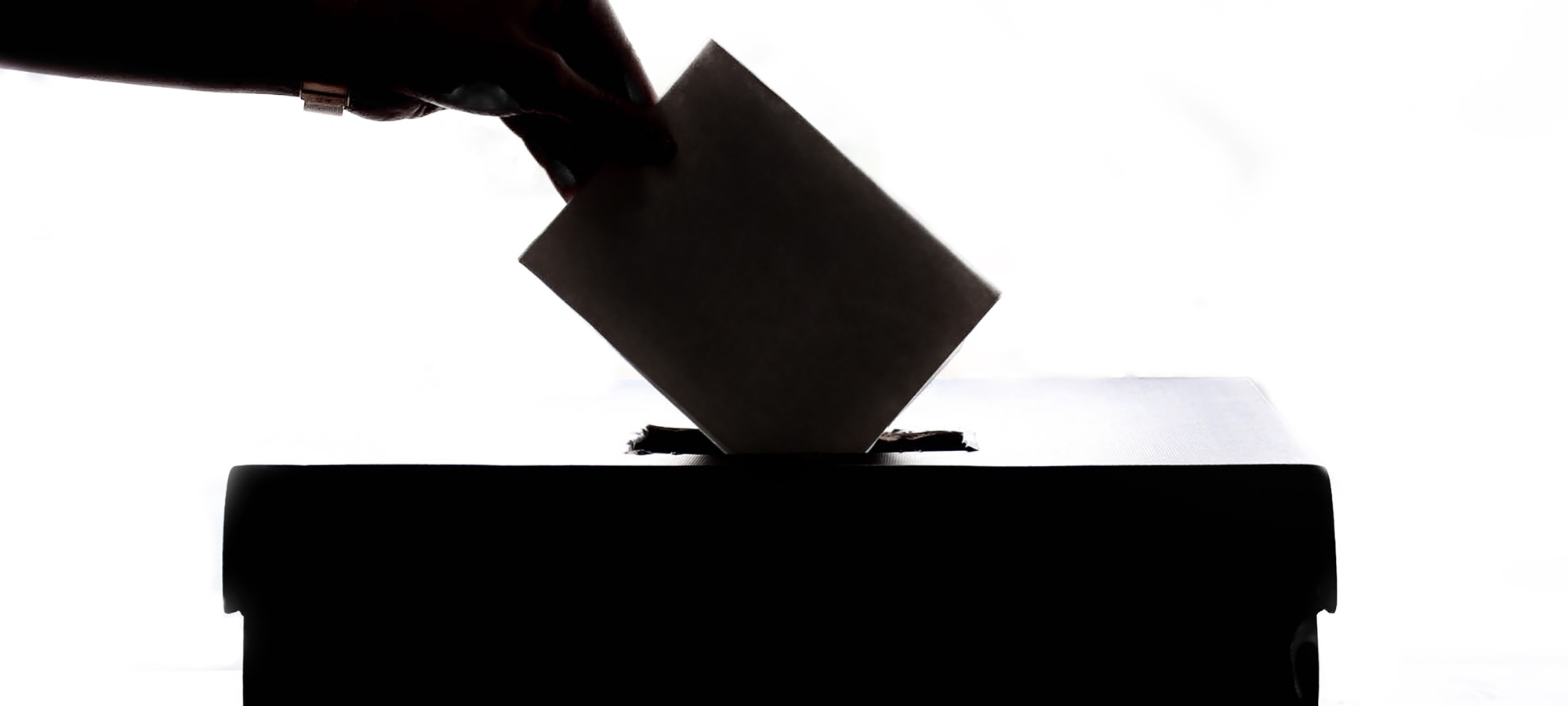 Voting