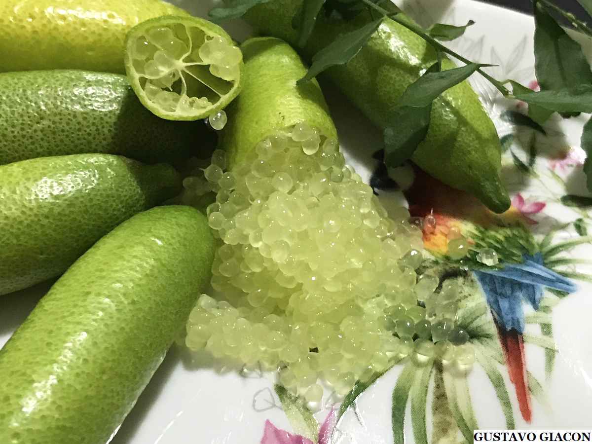 Citrus Caviar
