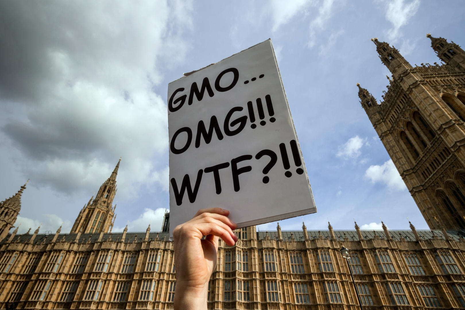 Protest against Monsanto company by GMO environmental activists in London, UK