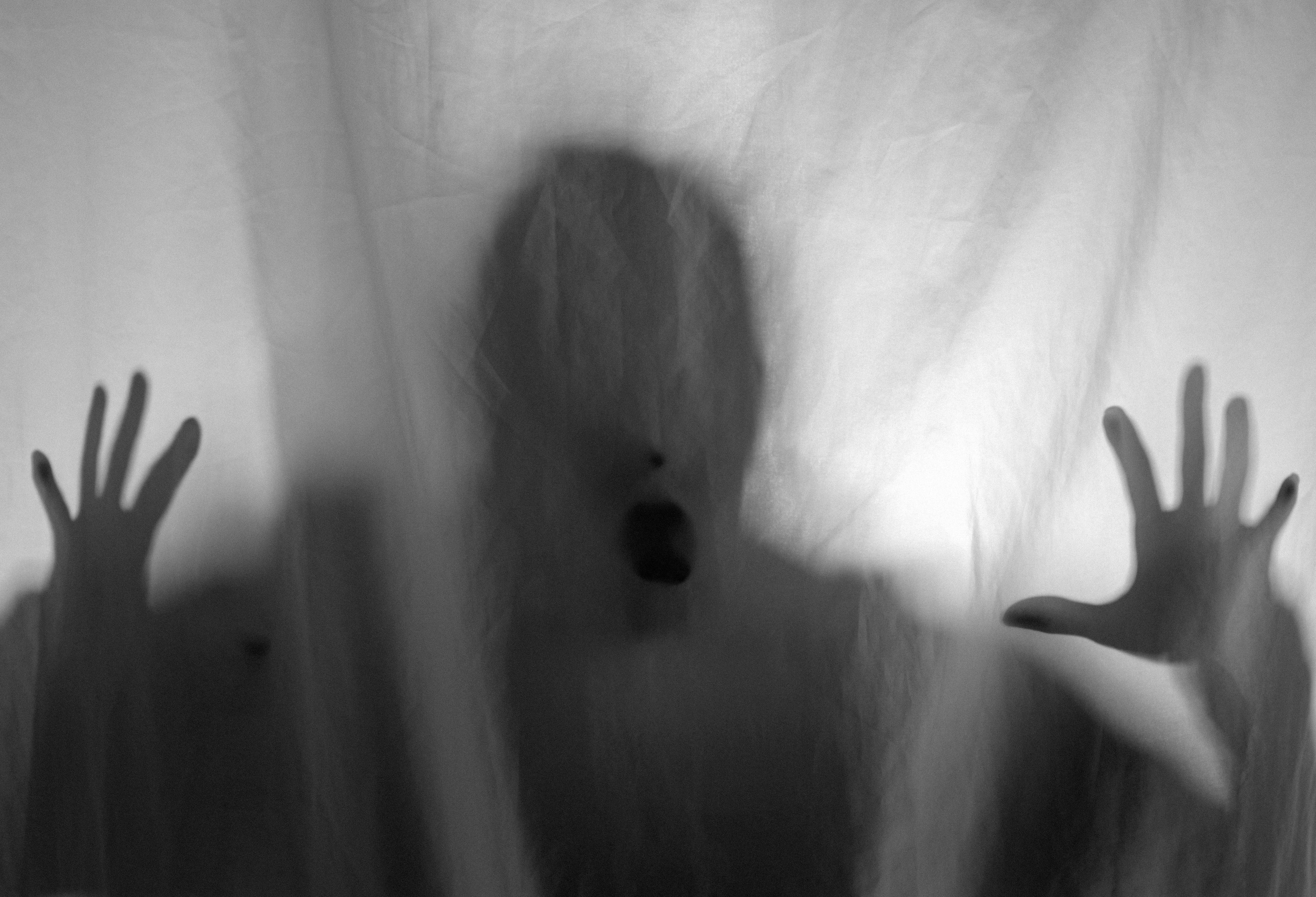 SCREAMING GHOST