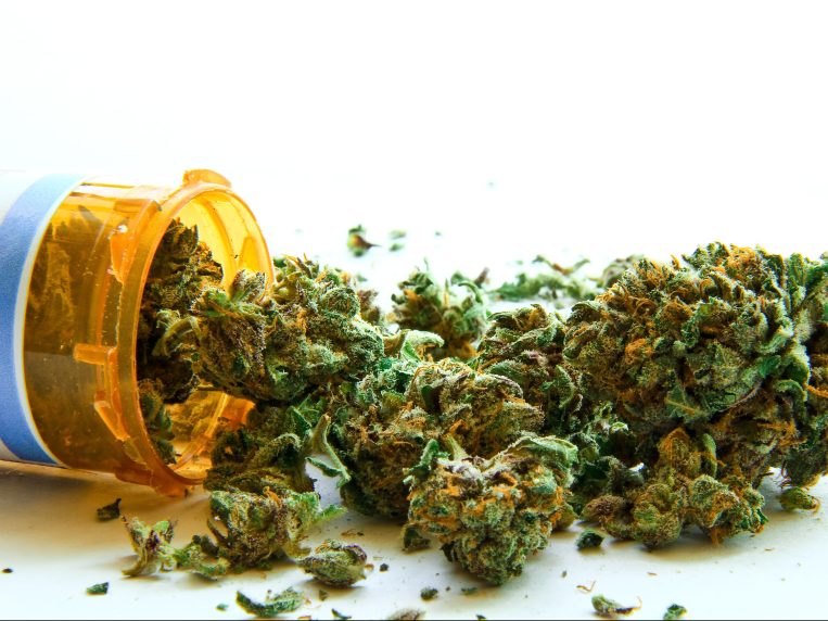 Media