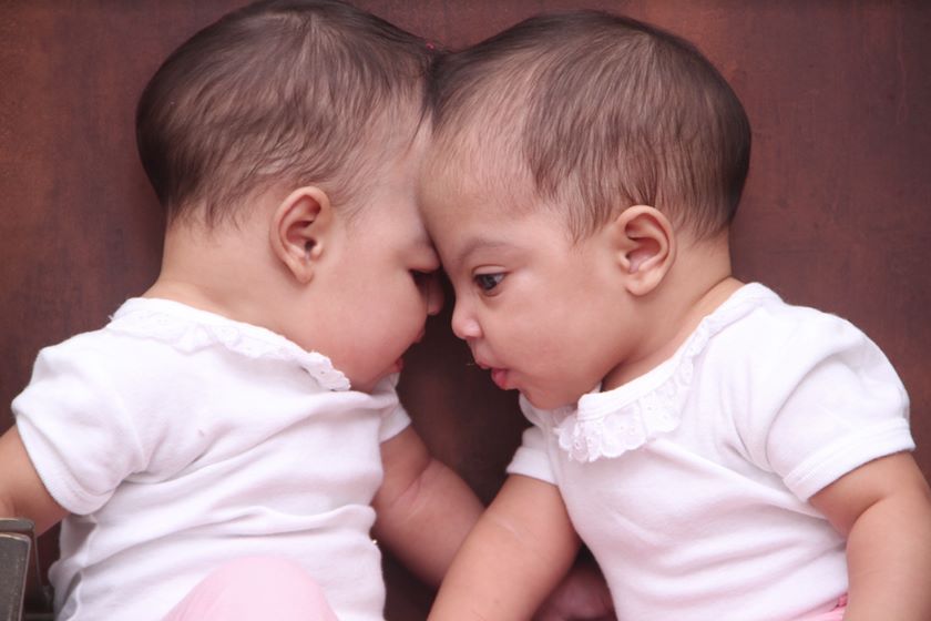 MelLis