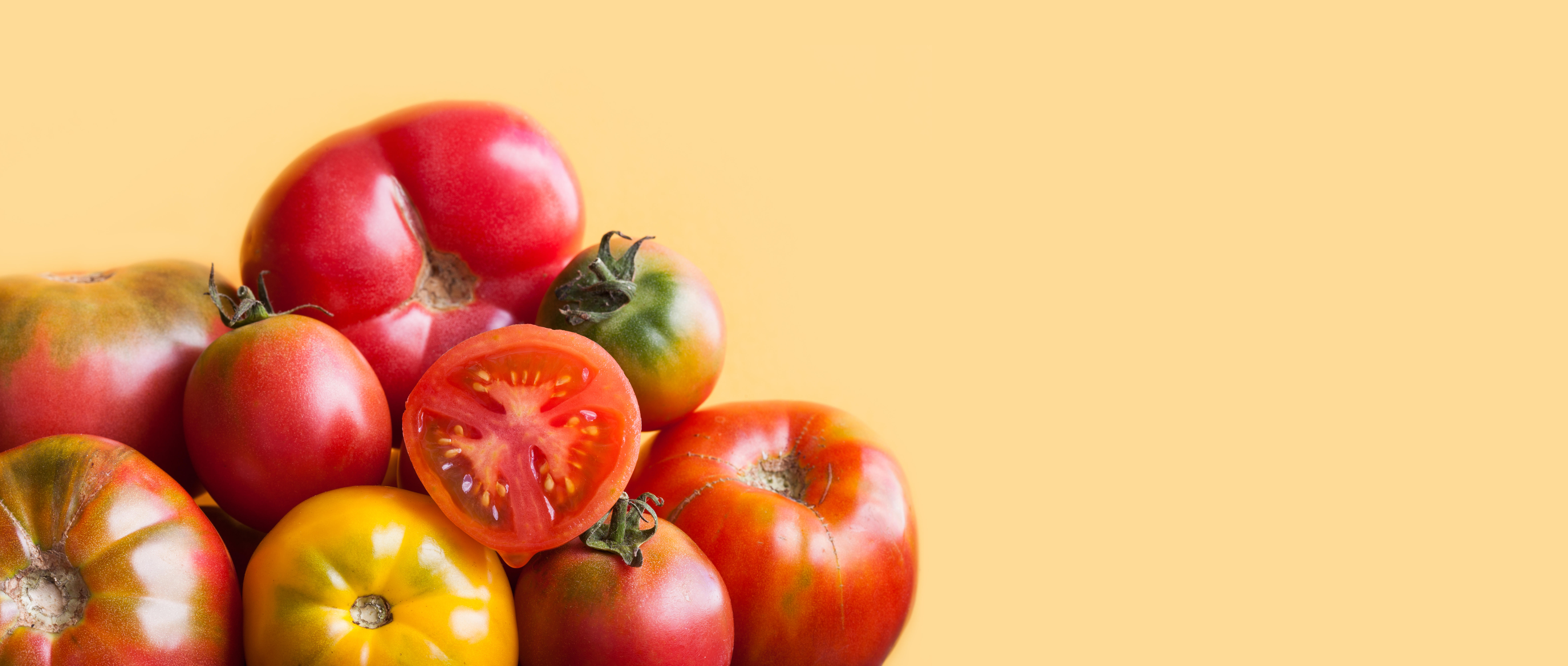 Macro view fresh ripe red tomatoes vegetables on yellow background. Organic food concept. copy space