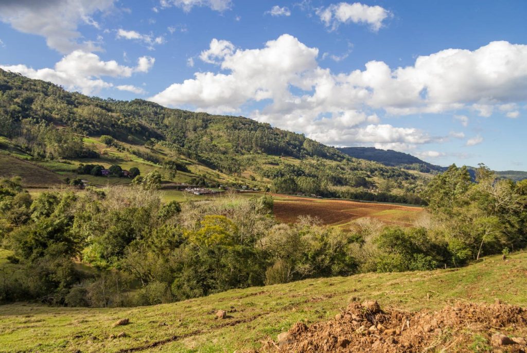 that these groups form a company in Brazil. (Photo Alamy)