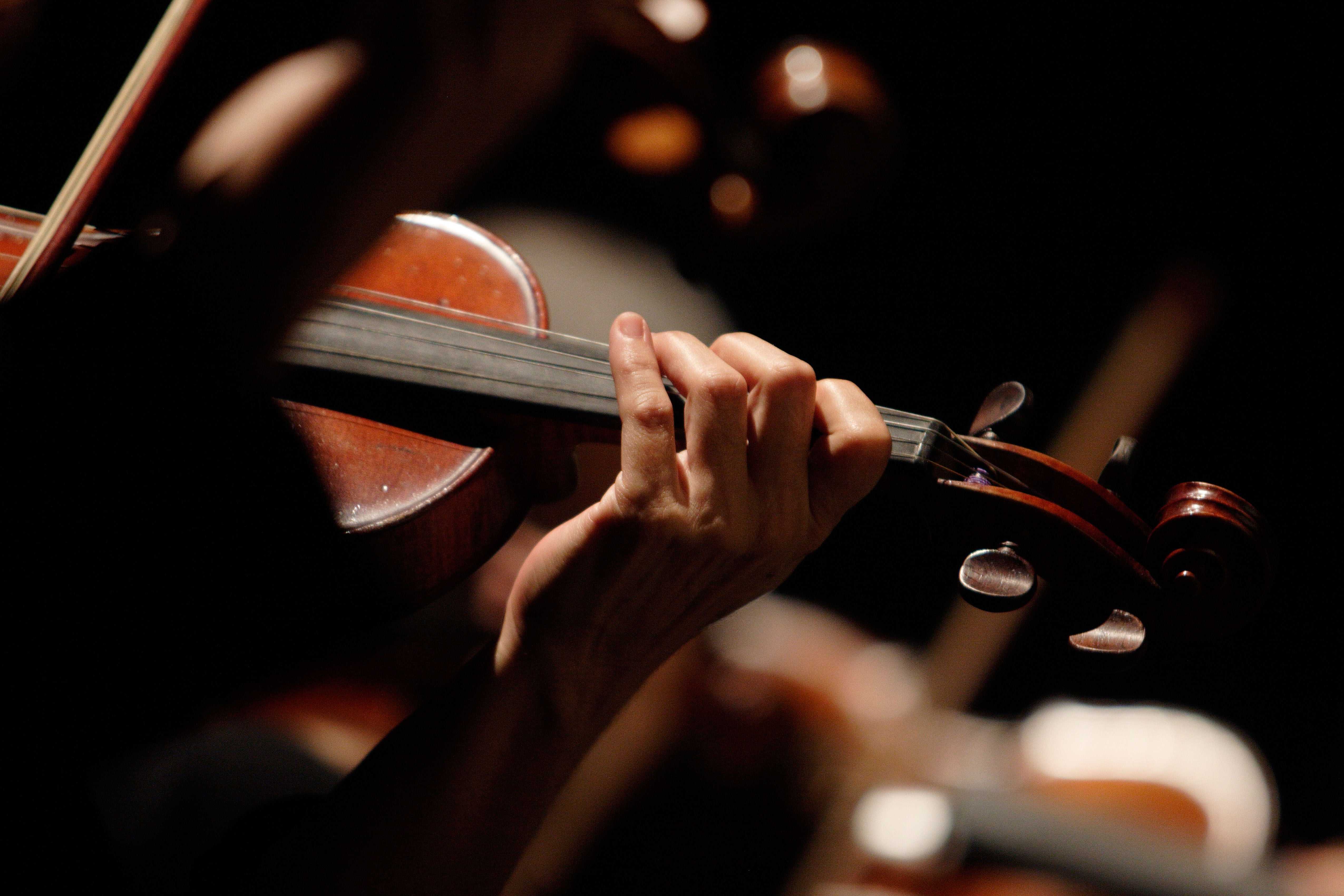 VIolinist playing in a orchestra. Image shot 2007. Exact date unknown.