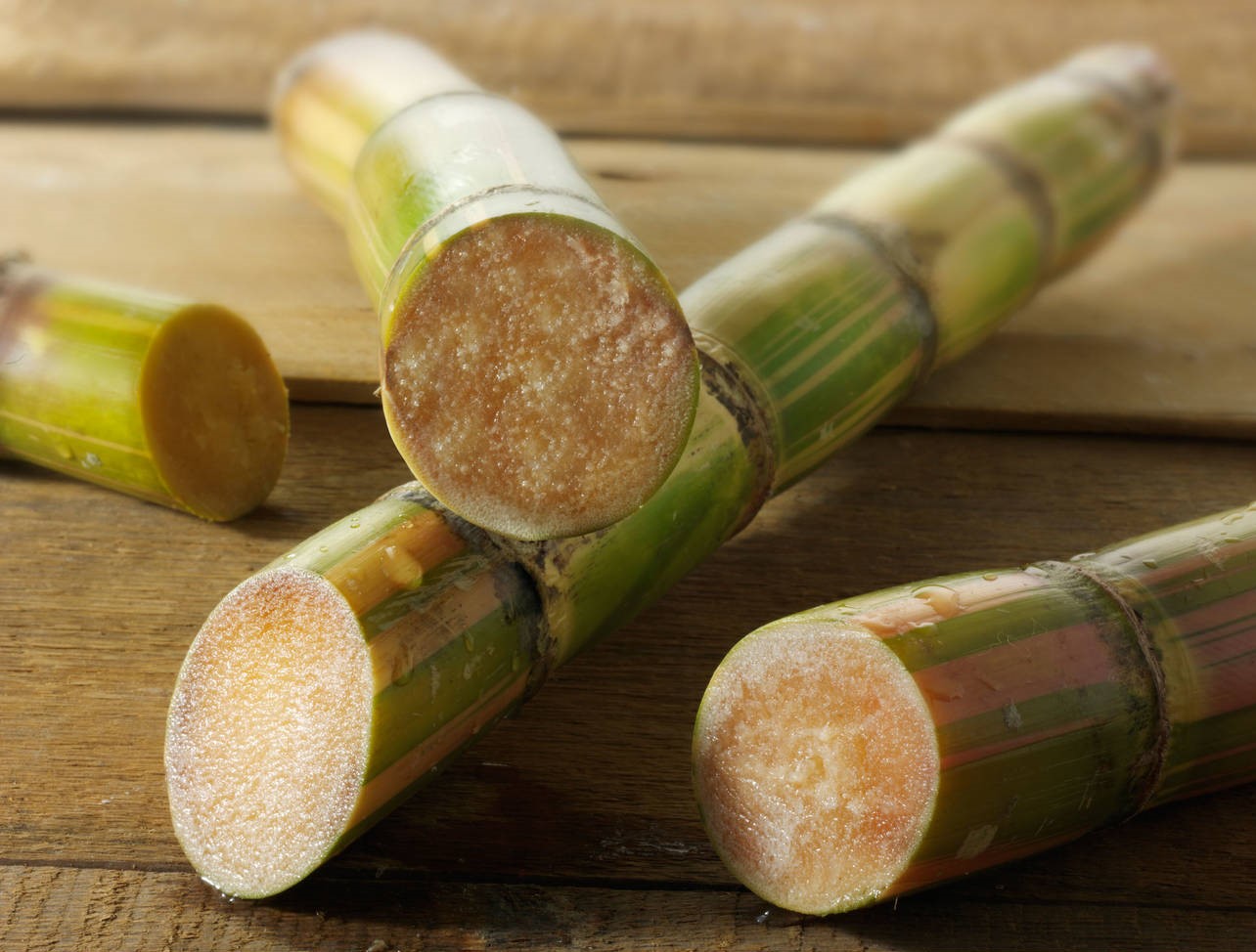 Raw sugar cane cut to show the inside