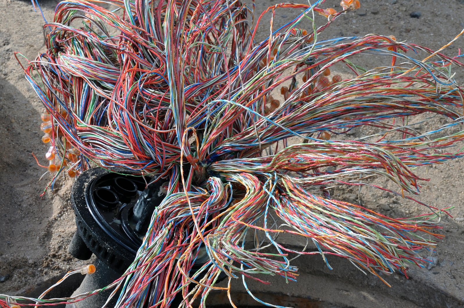 Wiring loom, telecommunications cable