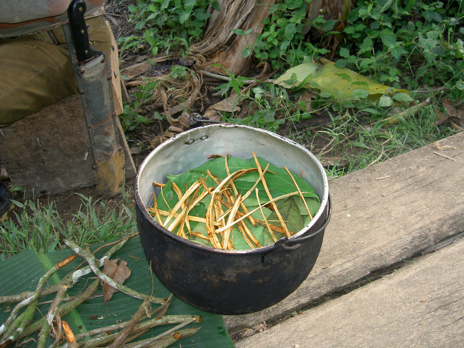 The exact chemicals contained within the find include cocaine, benzoylecgonine, harmine, bufotenine and dimethyltryptamine, which are thought to have been used to brew ayahuasca, Rio de Janeiro, Brazil, Brazil News,