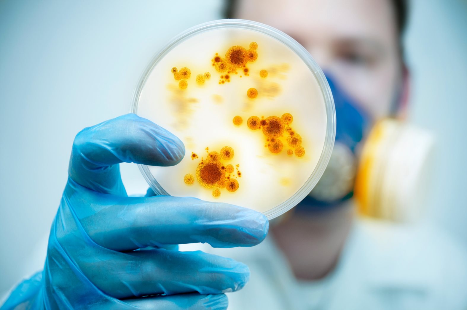Science and Lab Research.A scientist holding a Petri Dish with Virus and bacteria cells.