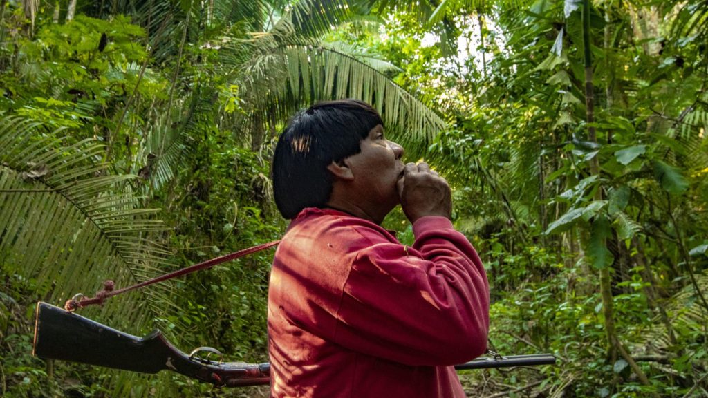 "Brazil has the highest rate of deforestation in the world, and most of it is illegal," said Tasso Azevedo, head of MapBiomas, an alerts platform launched on Friday
