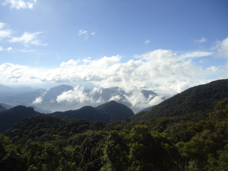 Pedra do Sino Hike Near Teresópolis in One Day
