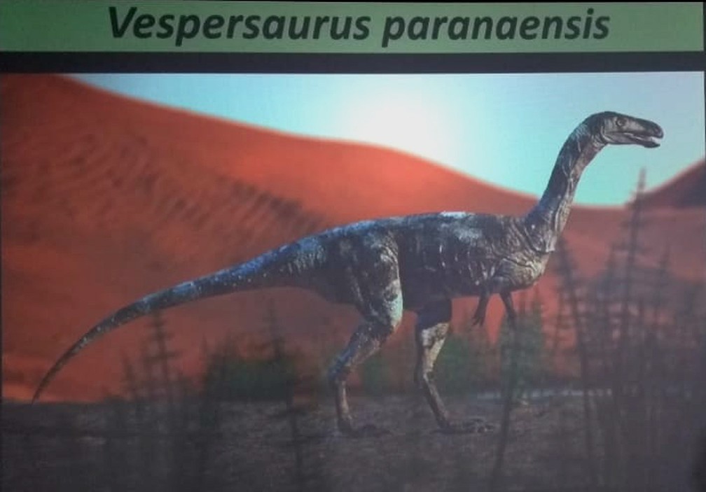 Researchers named the newly-found dinosaur species Vespersaurus paranaensis (Photo: Eduardo Cavalari/RPC).