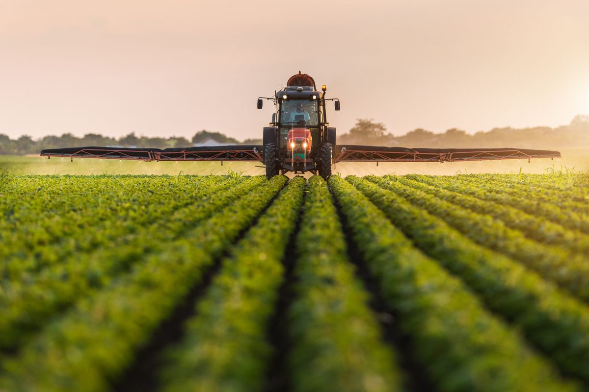 A ranking by the FAO of the United Nations places Brazil as the 44th largest global user of pesticides.