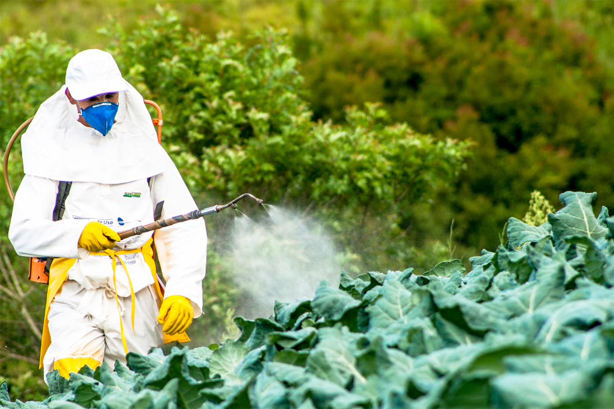 In nine months, 325 new pesticide products have been released in Brazil.
