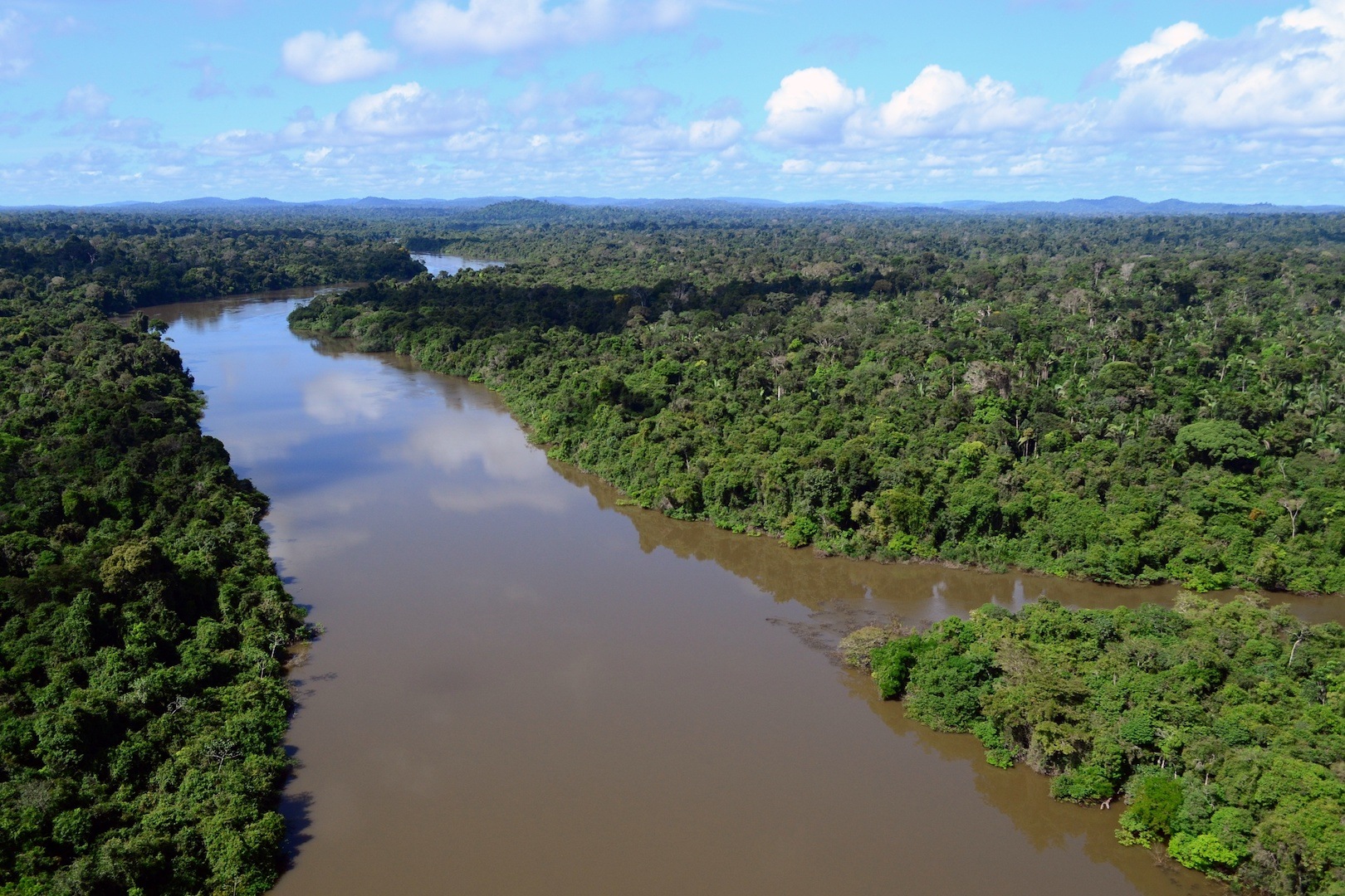 Brazil,Brazil's Economy Minister, Paulo Guedes, wants to create oxygen market for Amazon region,