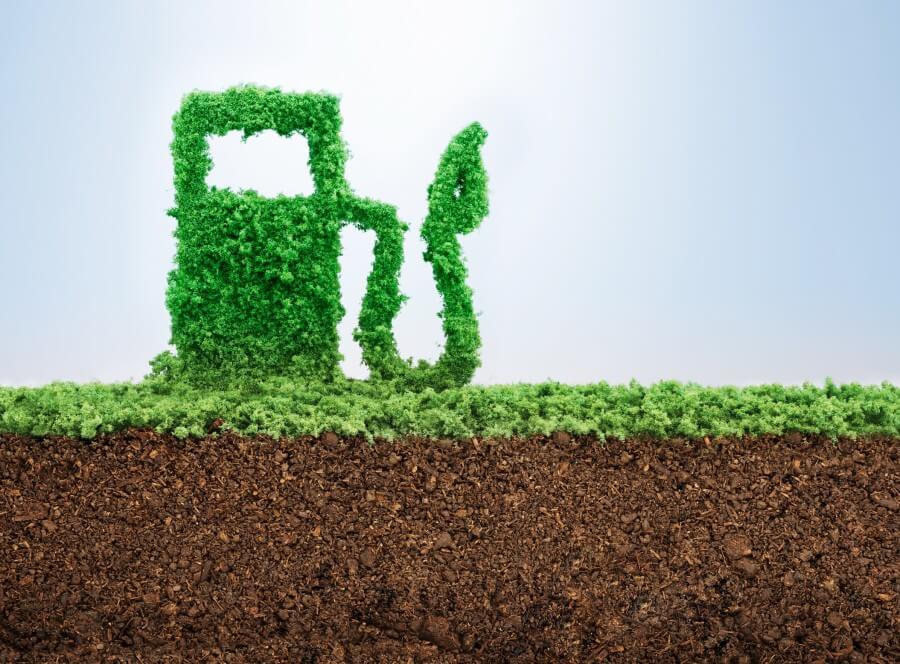 Biofuel2