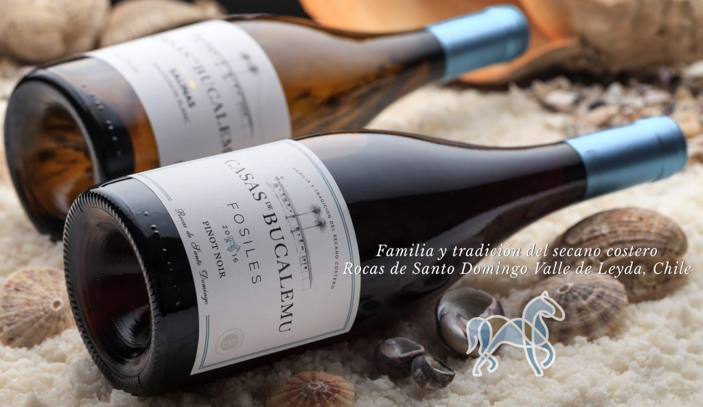 Reinterpreted Classics Category The wineries included in this category read differently from the classic Cabernet Sauvignon, Merlot, Carmenère and blends of red grapes