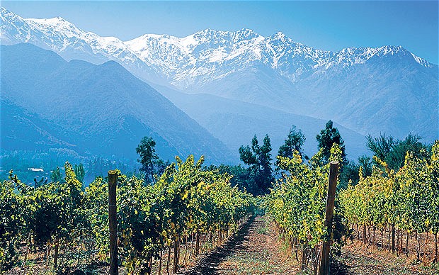 Chile is world famous for its wine industry.