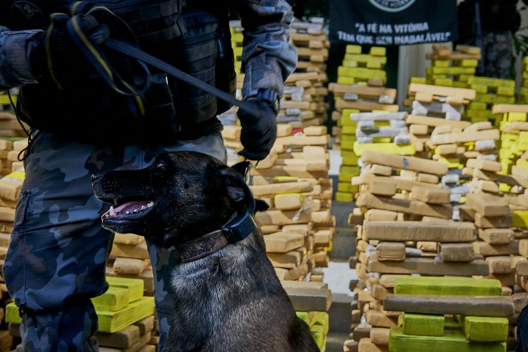 Police in Rio de Janeiro Conduct Largest Ever Drug Bust