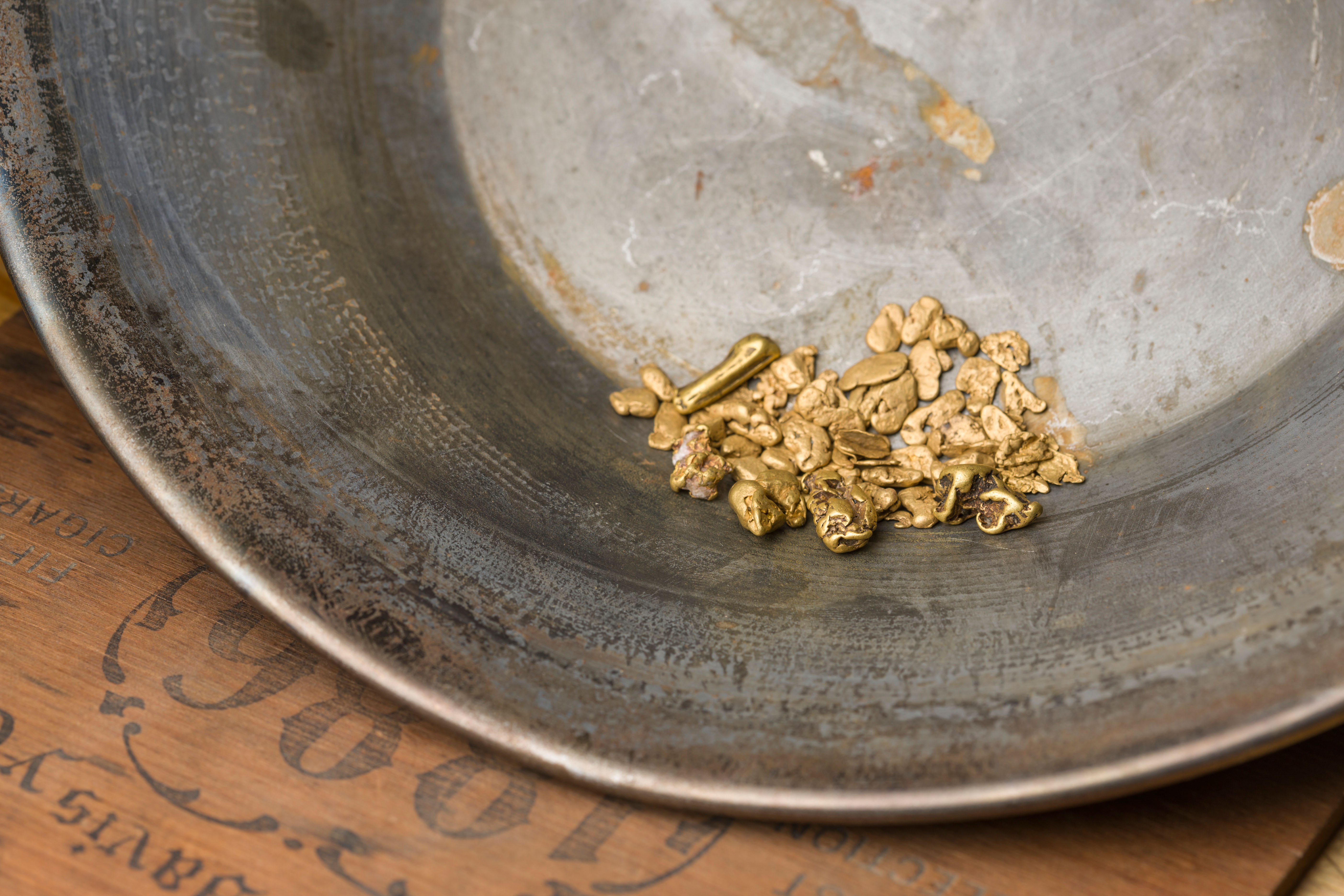 Close Up Of A Gold Pan With Gold Nuggets, Alaska