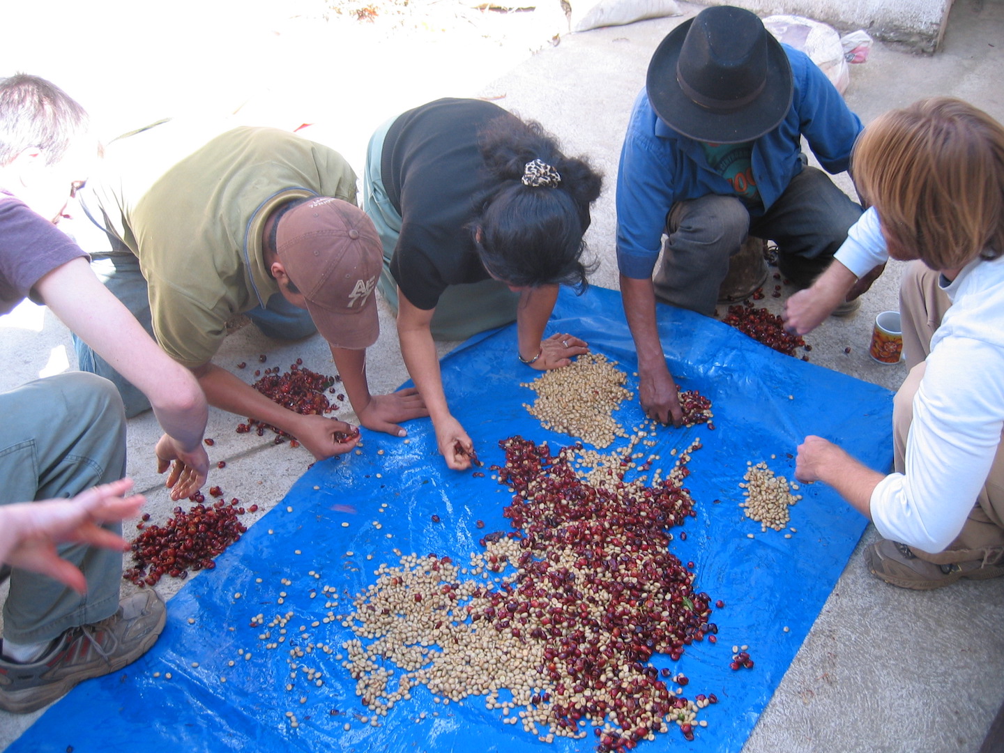 Producers in poorer countries need financial help to continue to grow coffee