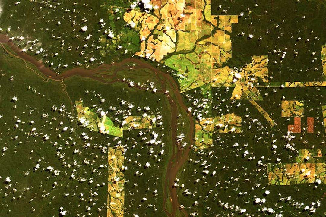 Brazil,INPE satellite photo shows parts of Amazon already being used for cattle and agriculture.