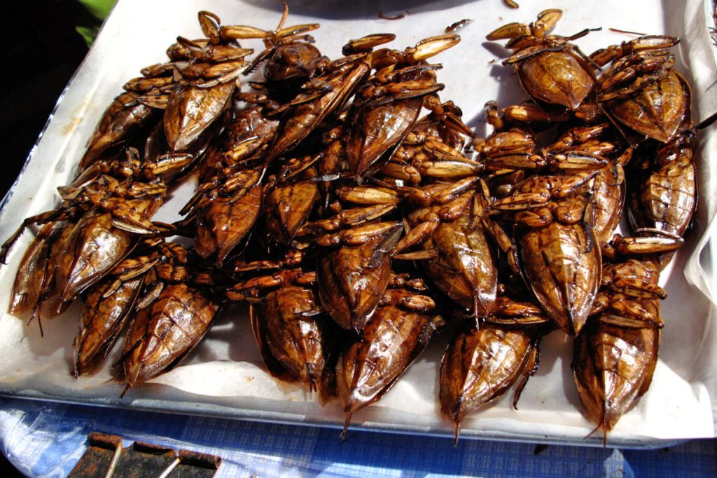 In European countries such as Switzerland you can buy insects as food in the biggest supermarkets.