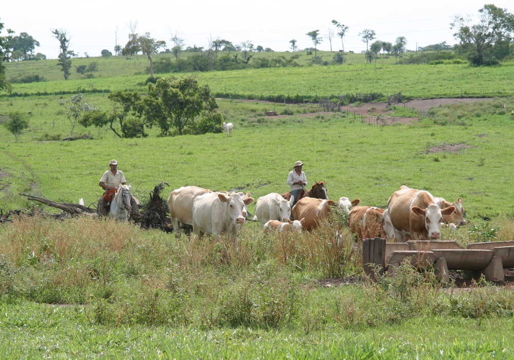 The end of exemption of social security contributions to rural exporters will allow maintaining the economy with the Social Welfare reform above R$1 trillion (US$262 billion) in ten years.