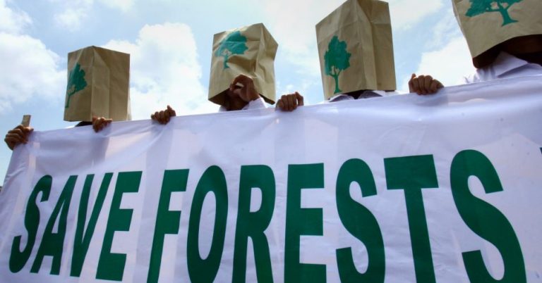 Brazil Ranked Fourth in World in Number of Environmentalists Murdered in 2018