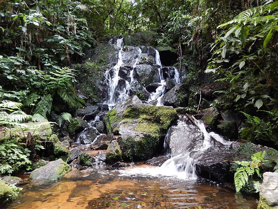 Natural attractions in São Paulo, nature in São Paulo, trails, waterfalls, Parque Estadual da Cantareira, Zona Norte, best parks in Sao Paulo