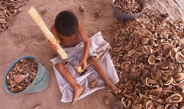 Agriculture is one of the sectors which employs the most children in Brazil,
