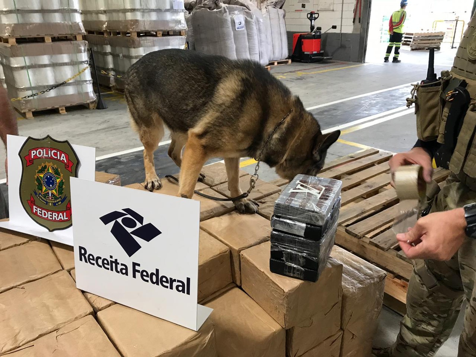 Besides appropriate equipment, the Federal Treasury also relies on sniffer dogs to find and seize drugs.