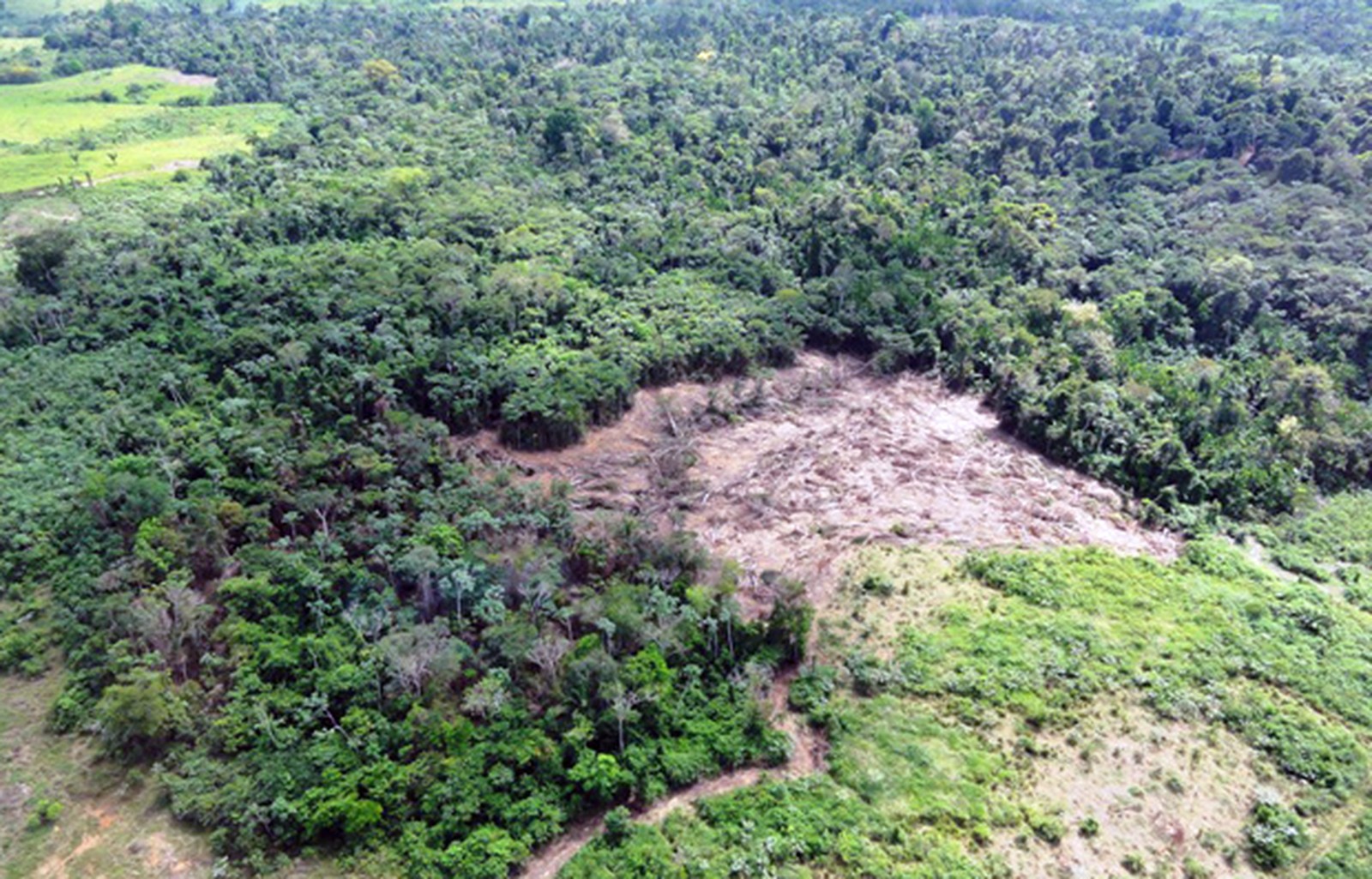 Protected areas in the Amazon have already lost the equivalent to six cities the size of São Paulo in vegetation in three decades.