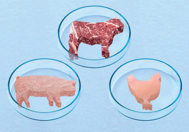 Meat grown from animal cells may be next on the menu, as their producers seek regulatory clearance while improving technology and reducing costs.