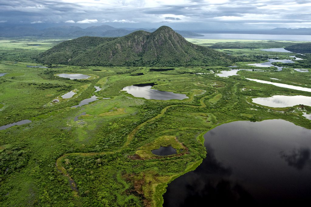 Brazil's Pantanal (Swamplands).