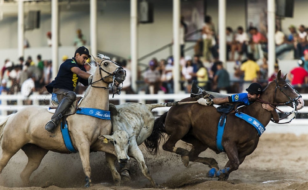 Chamber of Deputies Approves Bill Regulating Rodeos and “Vaquejadas”