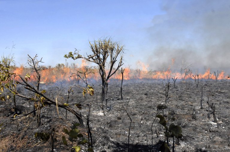 Brazil,Data has shown that since January 1st thousands of kilometers of forest has been burned in the Amazon region.