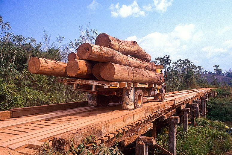 The data are from the Deforestation Alert System (SAD) of the Amazon Institute of People and the Environment (Imazon), which is not linked to the government.