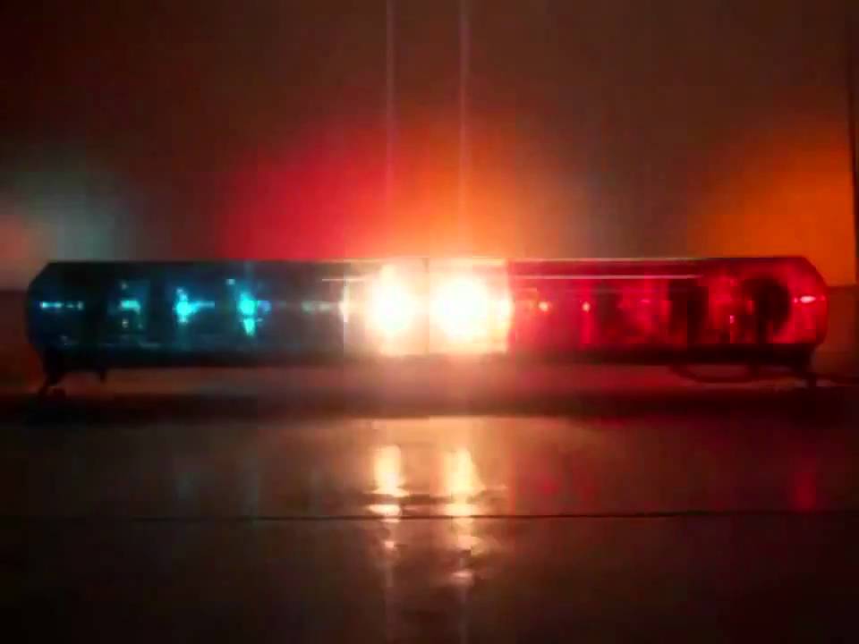 A man broke into a house in the region and caught a pregnant dog, raped it and then beat the animal to death.