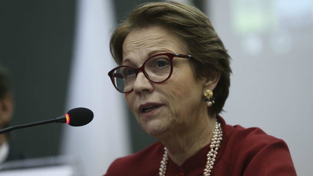 Tereza Cristina Corrêa da Costa Dias (DEM) is Minister of Agriculture in the government of Jair Bolsonaro. She was elected as a federal deputy in 2014 and was re-elected in 2018, but graduated from her position to assume the ministry. Before becoming a deputy, she was secretary of Agrarian Development, Production, Industry, Trade and Tourism of Mato Grosso do Sul. Tereza Cristina was part of the group of deputies of the PSB who left the party for supporting the government of Michel Temer. In the Chamber of Deputies, she was the leader of the Rural Bench. Translated with www.DeepL.com/Translator