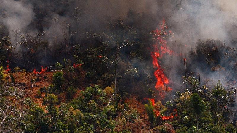 There are tangible economic interests in clearing rainforest.