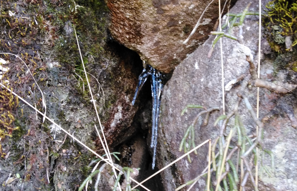 This photo comes from the Rio de Janeiro state even if it doesn't look like it.