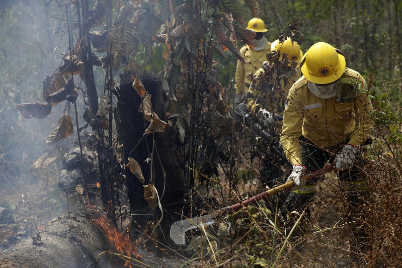 There are 3,912 personnel working in the Legal Amazon