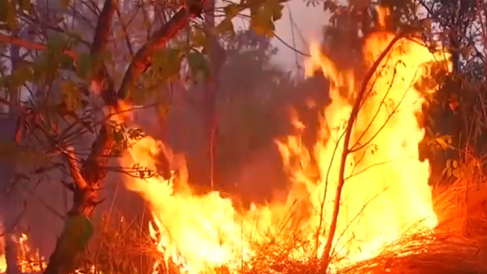 Fires2