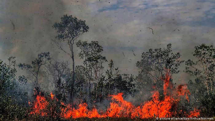 Bolsonaro Changes Decree and Limits Fire Ban To Legal Amazon Only