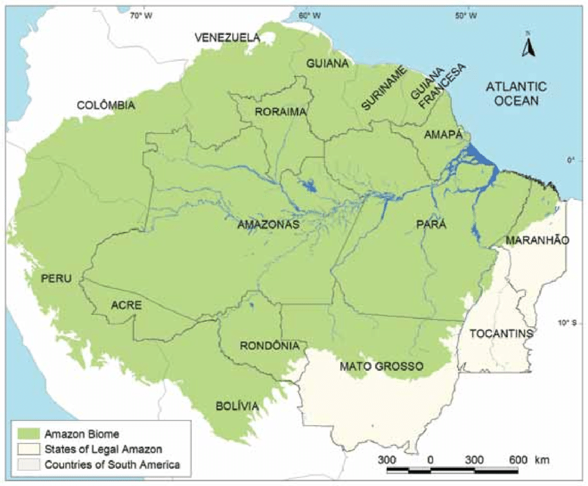 Legal Amazon Aera in Brazil and beyond. (Photo internet reproduction)